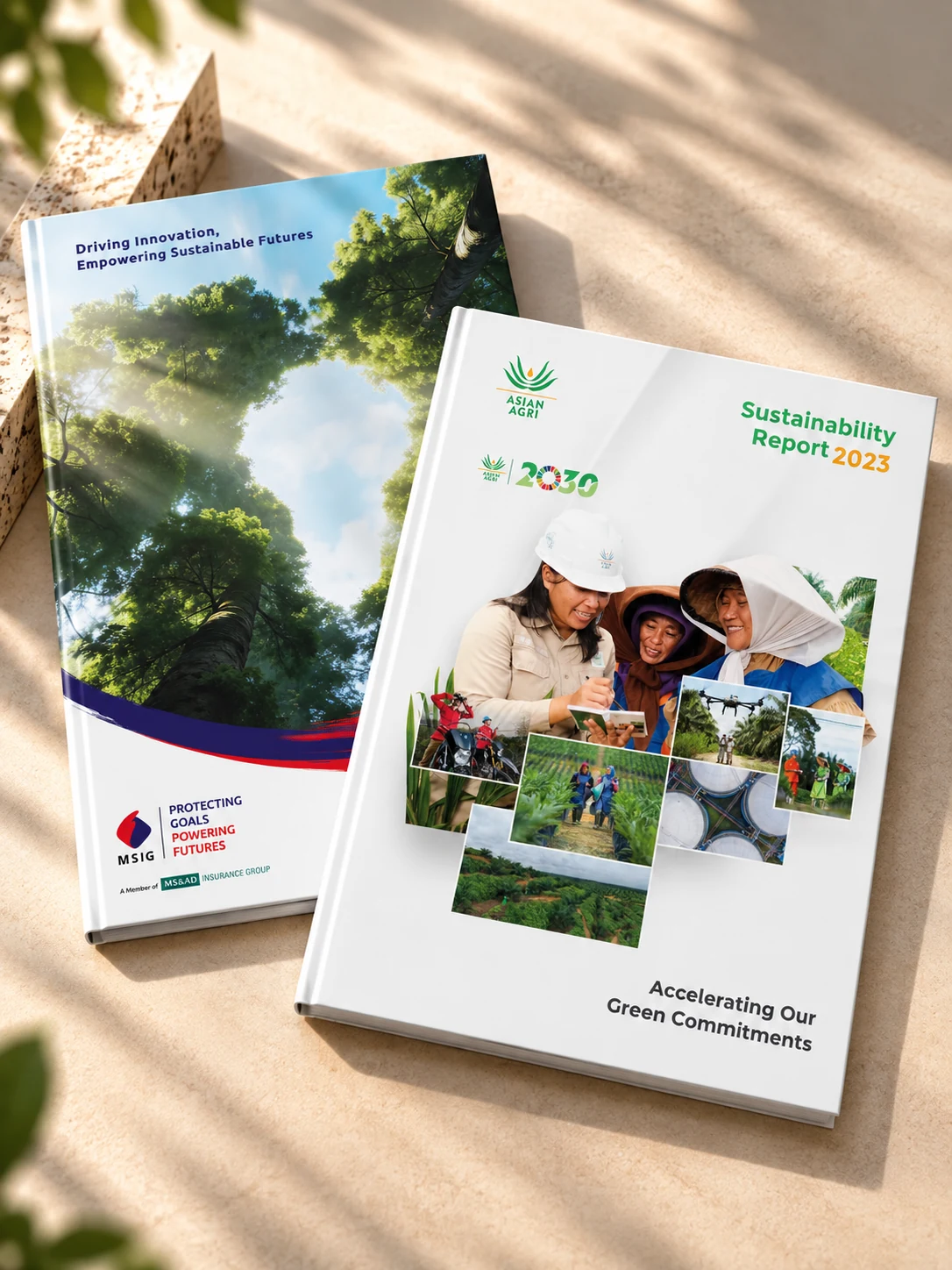Two hardcover sustainability reports resting on a sunlit surface, one with a forest canopy cover and one with a photo mosaic cover.